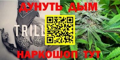 не бодяженный Кингисепп