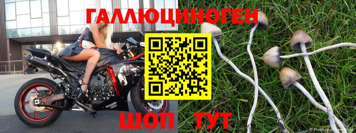 Галлюциногенные грибы GOLDEN TEACHER Королёв