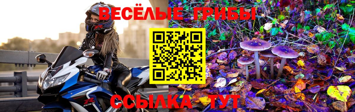 Галлюциногенные грибы ЛСД  Вход с VPN  Королёв  Галлюциногенные грибы Cubensis 